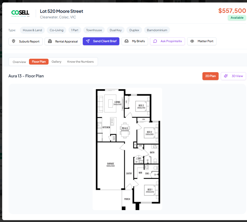 Agent presenting to buyers